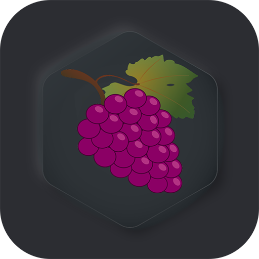 Grape VPN - Free VPN Unblock Censored Content icon