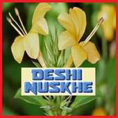 Deshi Nuskhe & Gharelu Paryog on 9Apps