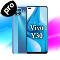 Theme for Vivo Y30