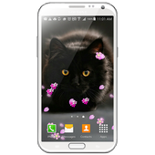 Flower Music Player Wallpaper icon