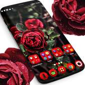 Реальная красная роза on 9Apps