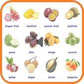 fruits sounds आइकन