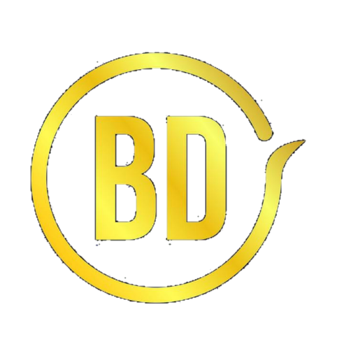 BDGOLD Pro VPN icon