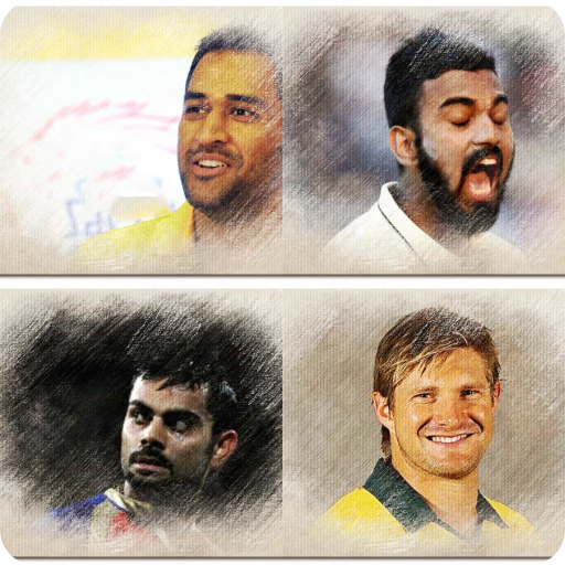 Indian cricket Game icon