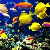 Aquarium 3 live wallpaper icon