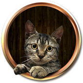 Pretty Cat Talk icon