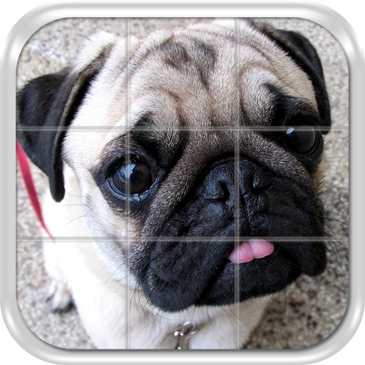 Dogs Puzzle Game icon
