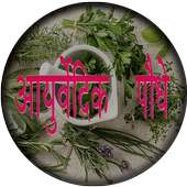 Ayurvedik Paudhe आयुर्वेदिक पौधे on 9Apps