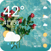 Weather Widget Clock Roses icon