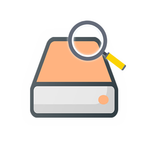 DiskVideo Recovery icon