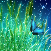 Butterfly Live Wallpaper icon
