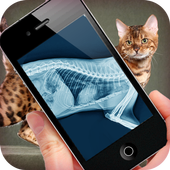 Simulation XRay Cat icon