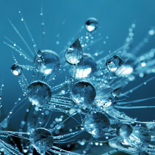 HD Wallpapers Free icon