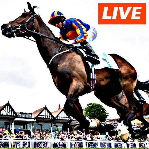 Watch Horse Racing Live Stream FREE icon
