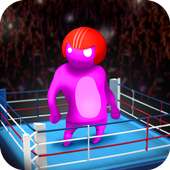 Mortal Wrestle Fight