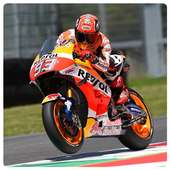 Racing For MotoGP Wallpaper