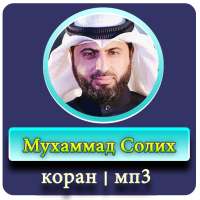 Мухаммад Солих коран мп3 on 9Apps