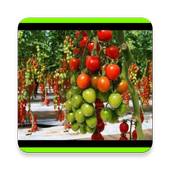 Farming Techniques icon