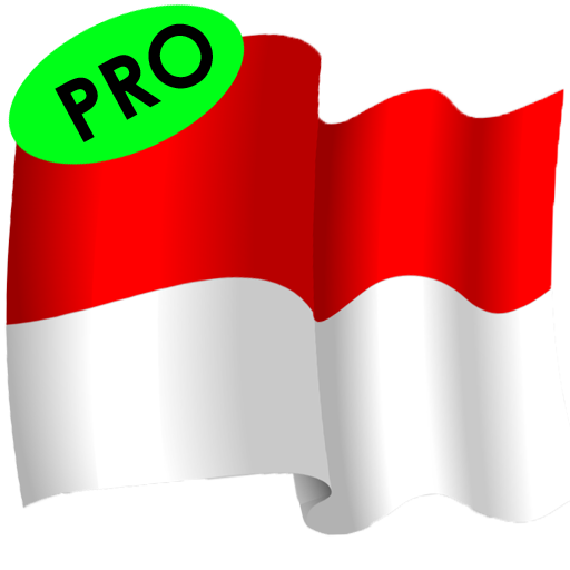 Master Indonesian (PRO) icon