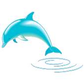 Dolphin on 9Apps