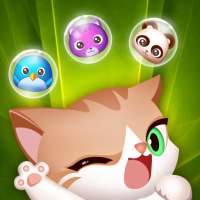 Cute Pet Bubble Match Shooter