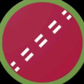 Cricket Doodle Game icon