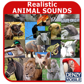 Realistic Animal Sounds icon