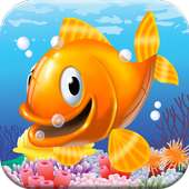 Funny Fish Games and Photos