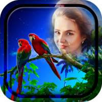 Love Birds Photo Frames on 9Apps