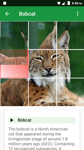 Cats Puzzle screenshot 2