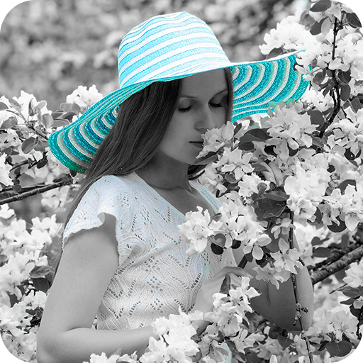 Highlight Photo Editor icon