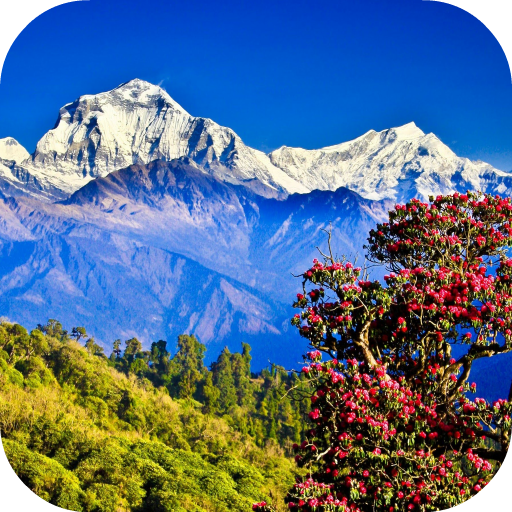 Nepal Live Wallpaper أيقونة