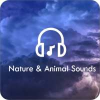 Nature & Animal Sounds MP3 2021 (Nature Sounds)