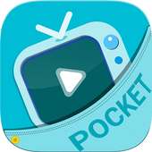 Pocket TV