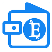 E-wallet icon