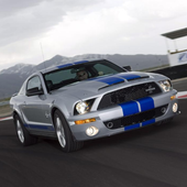 wallpaper Shelby أيقونة