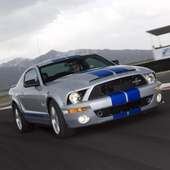 wallpaper Shelby on 9Apps