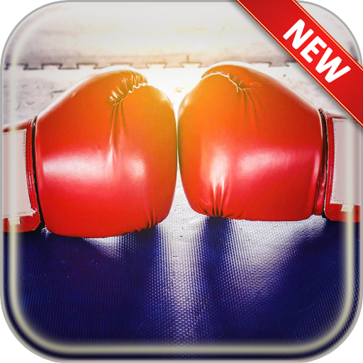 Boxing Wallpapers icon