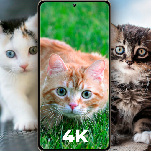 Cat Wallpapers 4K/HD, CatWalpy icon