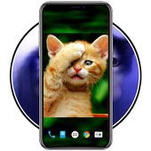 Cute Cat Wallpaper 3D icon