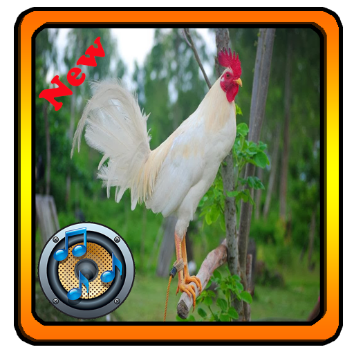 Chicken Ringtones icon
