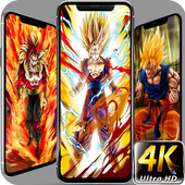 Dragon Ball Wallapaer icon
