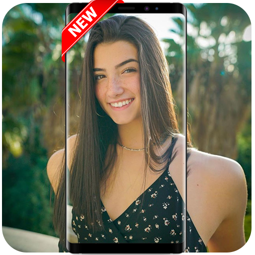 Charli d Amelio Wallpaper HD 2020 icon