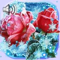 Roses Snow Winter Live Wallpaper on 9Apps