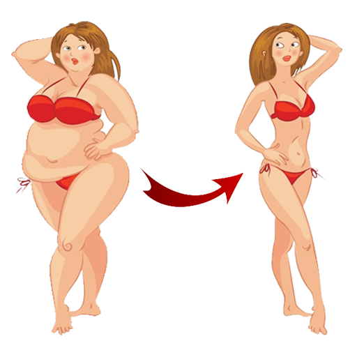 Diet. Losing weight. Health. Proper nutrition. icon