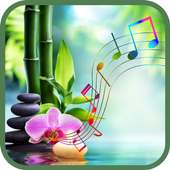 Musica rilassante 🎵 on 9Apps