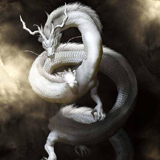 Dragon Wallpapers icon