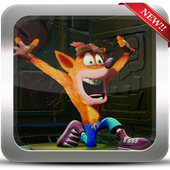 Bandicoot jungle Adventure : PRO icon