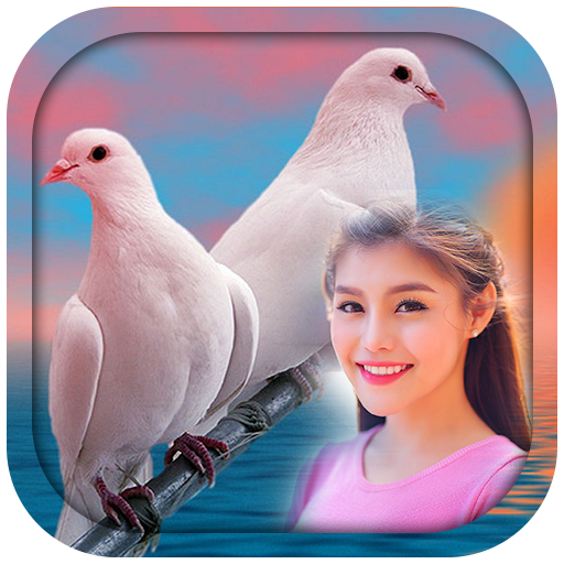 Love Birds Photo Frames icon