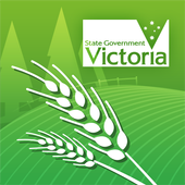 DEPI Crop Disease أيقونة